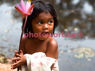 Маленька дівчинка з квіткою лотоса в руках, Ангкор, Камбоджа. Квітка лотоса в руках маленької дівчинки. Питливий погляд дівчинки дивиться в сторону. Камбоджа. 21 листопада 2009