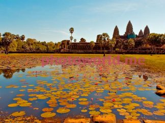 Lake with lotus flowers. Central temple complex Ta Prom, Angkor. Towers of the central temple on the background of the lake. Sunny day by the lake with lotus flowers. Cambodia